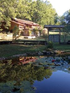 um jardim com um lago com uma casa ao fundo em Echappée sauvage em Masquières