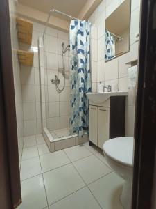 ニエポウォミツェにあるNoclegi Niepołomiceのバスルーム(シャワー、トイレ、シンク付)