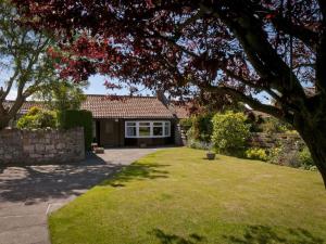 a house with a yard with a tree at Greylag Cottage in Gullane +3 photos