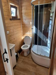 a small bathroom with a toilet and a shower at Domki Dwa in Limanowa