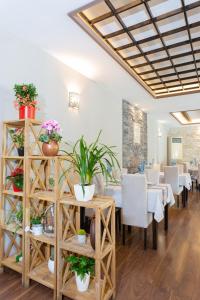Restaurace v ubytování Casa Lili