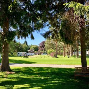 a park with a bench and trees in the grass at The Telford Van - Beautiful, luxury static caravan in Aberlour