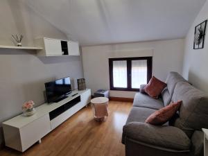 ein Wohnzimmer mit einem Sofa und einem TV in der Unterkunft Vivienda Turistica IBAMA1 in Ciudad-Rodrigo