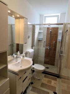 a bathroom with a toilet sink and a shower at Apartments Franica in Zadar