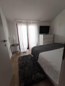 Schlafzimmer mit einem Bett, einem TV und einem Teppich in der Unterkunft Apartments Petrina in Sveti Filip i Jakov