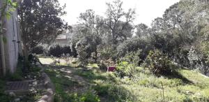 Fotografia z galérie ubytovania Appartement Nasica v destinácii Porto-Vecchio