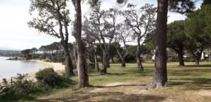 Fotografia z galérie ubytovania Appartement Nasica v destinácii Porto-Vecchio
