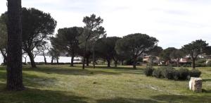 Fotografia z galérie ubytovania Appartement Nasica v destinácii Porto-Vecchio