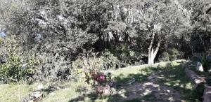 Fotografia z galérie ubytovania Appartement Nasica v destinácii Porto-Vecchio
