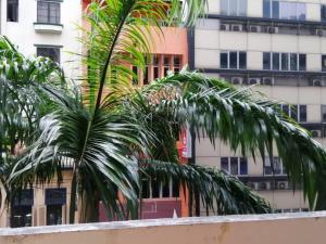 吉隆坡的住宿－RAS International Hotel，两棵棕榈树,在一座建筑前