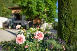 Vonkajšia záhrada v ubytovaní Innerbachlerhof - Laugen