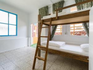 ラスパルマス・デ・グランカナリアにあるJungle Houseの二段ベッド2組、窓が備わる客室です。