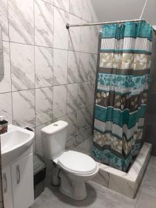 ein Badezimmer mit einem WC, einem Waschbecken und einem Duschvorhang in der Unterkunft Катерина in Chynadiyovo