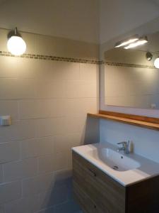 a bathroom with a sink and a mirror at La Bastide des Borels in Berrias Et Casteljau