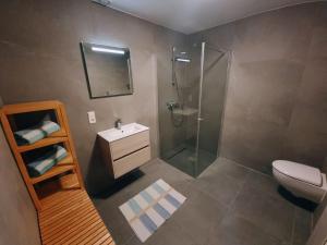 a bathroom with a shower and a toilet and a sink at De Bloemenkwekerij in Egmond-Binnen