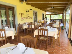Restaurace v ubytování Agriturismo Terra Di Elea azienda agricola di Raimondo MIchela