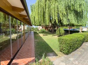 Zahrada ubytování Agriturismo Terra Di Elea azienda agricola di Raimondo MIchela