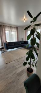 sala de estar con sofá azul y planta en Rental house, en Dumbrăviţa