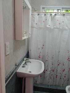 baño con lavabo y cortina de ducha en Mi sueño en Colón