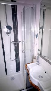a bathroom with a shower and a white sink at Studio 2 in Newquay