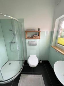 ein Bad mit einer Dusche, einem WC und einem Waschbecken in der Unterkunft Modern und ruhig in Elmshorn in Elmshorn