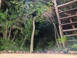 un barlume della giungla dall'acqua di Suíte aconchegante Chalé do cerrado na Villa de São Jorge, venha viver essa experiência!! a Alto Paraíso de Goiás Altre 3 foto