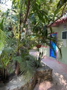 een groep bomen en planten voor een gebouw bij Hostal Paraíso Teenek Tambaque 