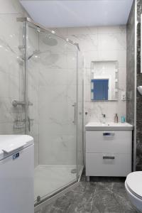 弗次瓦夫的住宿－Aparta Lotnisko，带淋浴、盥洗盆和卫生间的浴室