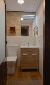 a bathroom with a toilet and a sink and a mirror at Casa rural La Rosa de Llerena in Llerena