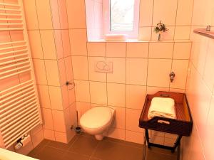 a bathroom with a toilet and a window at Ferienlodge von Scotti in Neumagen-Dhron