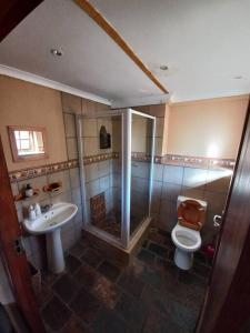 a bathroom with a shower and a toilet and a sink at Fijnbosch Self Catering Chalet in Jeffreys Bay