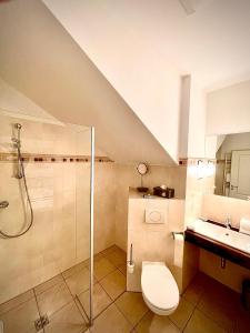 a bathroom with a shower and a toilet and a sink at Hotel zur Römerbrücke in Neuwied