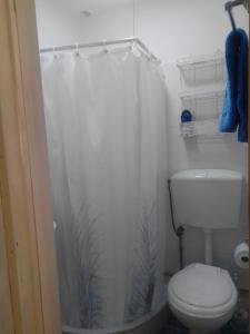 a bathroom with a toilet and a shower curtain at Casa da Romeira in Elvas