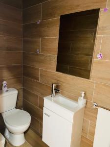 a bathroom with a toilet and a sink at Casa da Tapada in Torre de Moncorvo