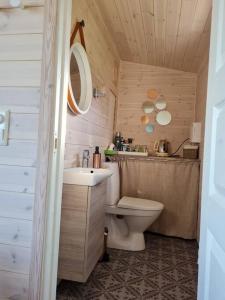 a small bathroom with a toilet and a sink at Nyt sauna under nordlyset, kort avstand fra Varangerbotn in Varangerbotn