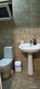 a bathroom with a toilet and a sink at Olesya Guesthouse in Mtsvane Konts'khi