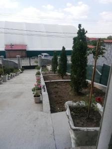 un jardin avec des arbres et des plantes dans une cour dans l'établissement Muzička Kutija, à Jagodina