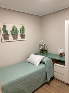 a bedroom with a bed and a desk with cactus at Mi Rincón Favorito VT-LR1594 in Rincón de Soto