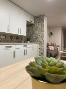 una cocina con armarios blancos y una planta verde en un tazón en Mi Rincón Favorito VT-LR1594 en Rincón de Soto