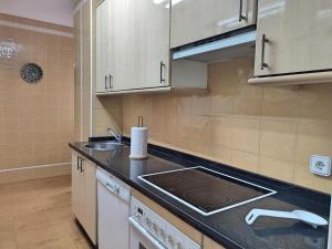 Kuchyň nebo kuchyňský kout v ubytování Céntrico Apartamento Jardines de Vallellano