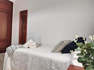 Postel nebo postele na pokoji v ubytování Céntrico Apartamento Jardines de Vallellano
