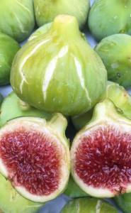 la fermeture d’un groupe de figues dans l'établissement Departamento Familiar Pimentel - Ica, à Ica