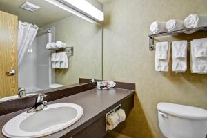 Vannituba majutusasutuses Ramada by Wyndham Ponoka