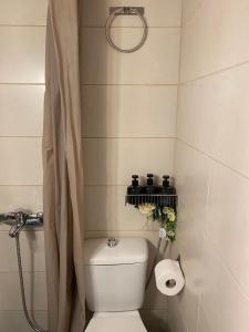 a small bathroom with a toilet and a shower at on the square studio in Kalamata