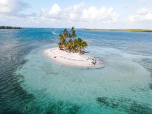Wyspa w oceanie z palmami w obiekcie Sailboat Anemoi Sailing - Private Charter in San Blas w mieście Mamartupo
