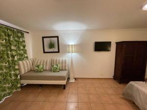 a living room with a couch and a television at Le Laïlana in Sainte-Anne