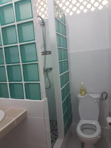 La salle de bains est pourvue de toilettes, d'une douche et d'un lavabo. dans l'établissement RESIDENCE VERO, à Matoury