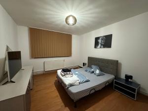 Cette chambre comprend un lit et une télévision. dans l'établissement Venus Resort, à Uisenteş