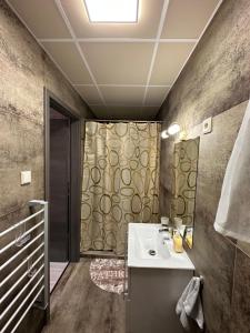 La salle de bains est pourvue d'un lavabo et d'une douche. dans l'établissement Demizson Vendégház, à Tokaj