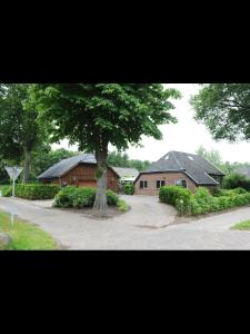 a house with a tree in the middle of a driveway at B&B De Drentse Es in Emmen